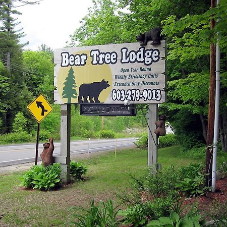Bear Tree Lodge Weirs Beach Exterior foto